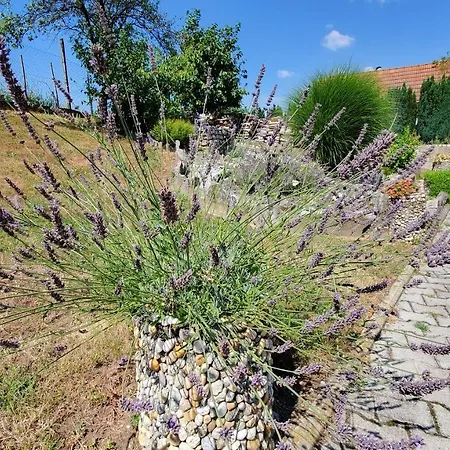 Apartma Ksela Apartman Mala Nedelja