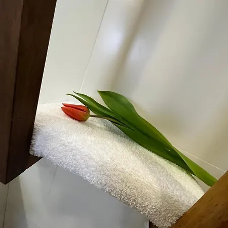 Apartma Ksela Апартаменты *