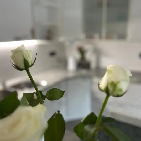 Apartma Ksela Апартаменты *