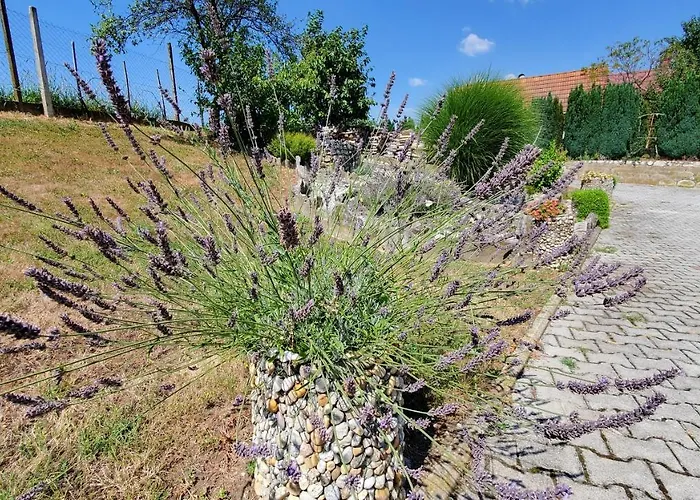 Apartma Ksela شقة Mala Nedelja