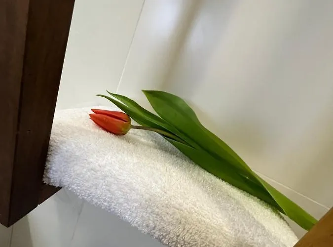 Apartma Ksela Apartamento *