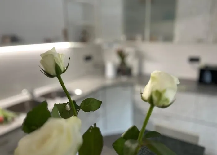 Apartma Ksela Apartamento *